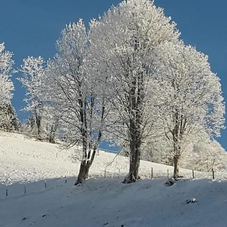 Gasthof Bergpension-ebental