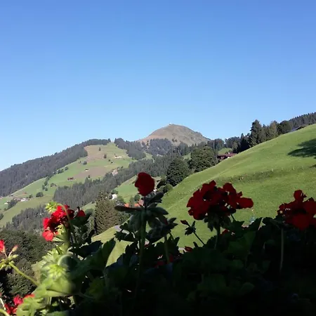 Gasthuis Bergpension-ebental 3*