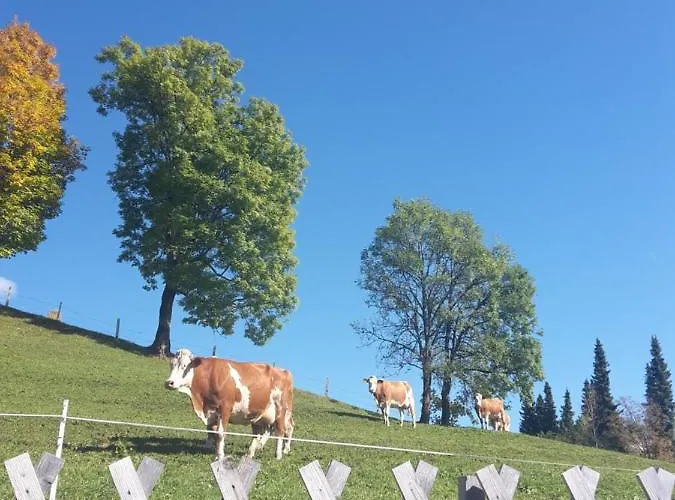 Bergpension-ebental 3*