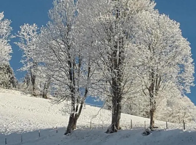 Gasthuis Bergpension-ebental