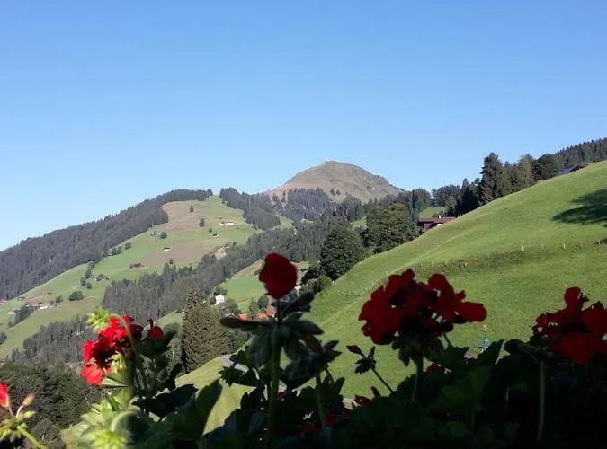 Gasthuis Bergpension-ebental 3*